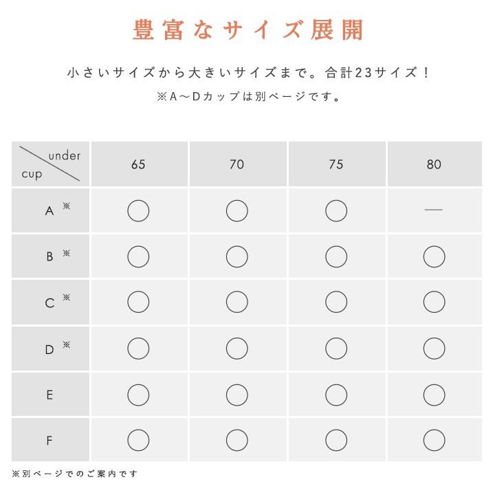 ブラジャー ブラ E65 F80 上下セット 美盛り レディース 美シルエット 大きいサイズ 下着 盛りブラ 盛ブラ 吸汗 速乾 Se 005 Mude ムード 通販 Yahoo ショッピング