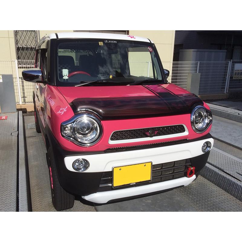 ハスラー MR31S MR41S型 バグガード カーボンプリント フレアクロス