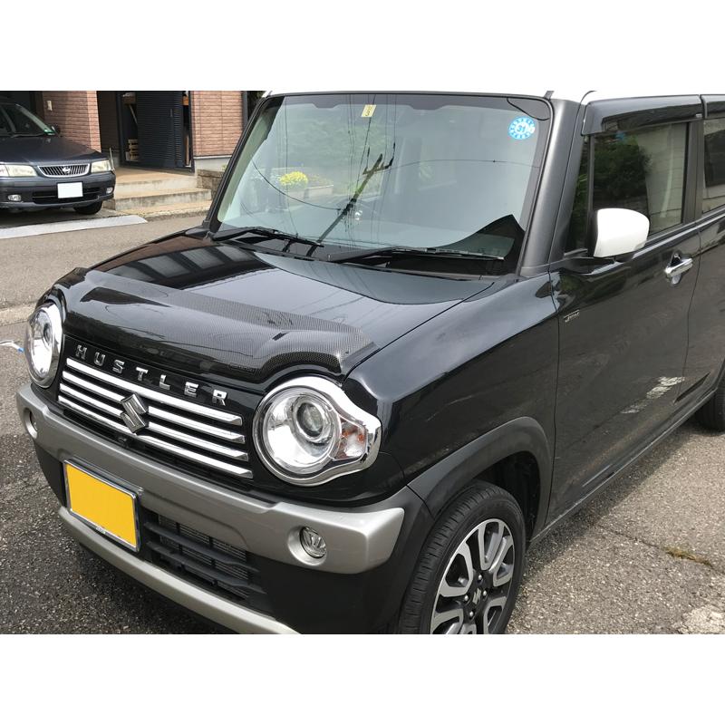 ハスラー MR31S MR41S型 バグガード カーボンプリント フレアクロス