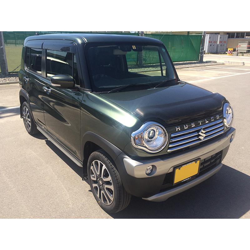 3月中旬入荷 ハスラー MR31S MR41S型 バグガード カーボンプリント