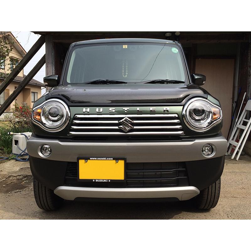 ハスラー MR31S MR41S型 バグガード カーボンプリント フレアクロス