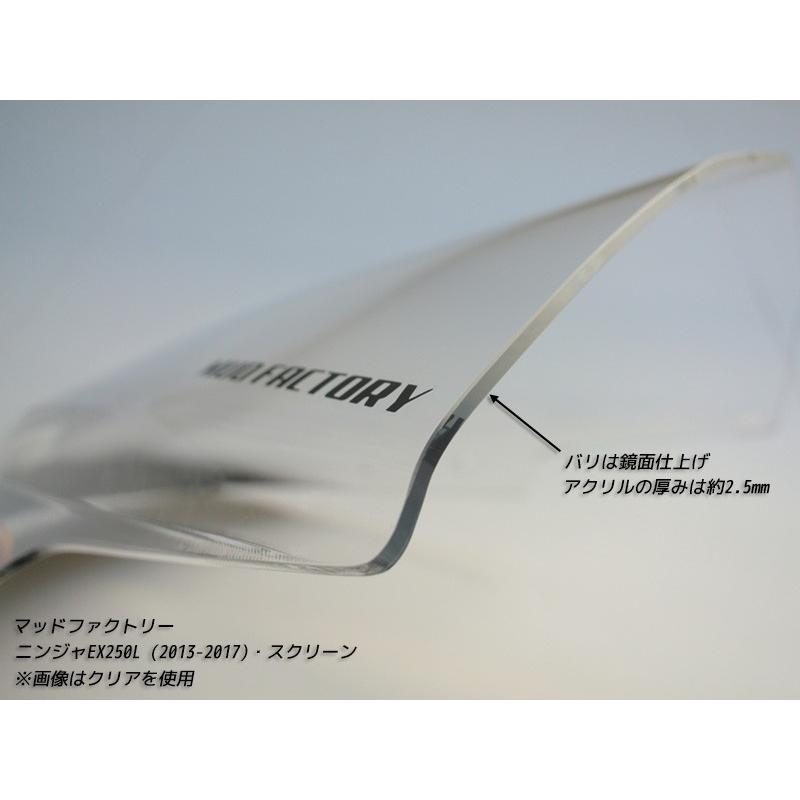 ニンニンページです 2024 Ninja ZX-4RR 40th Anniversary Edition モーターサイクル