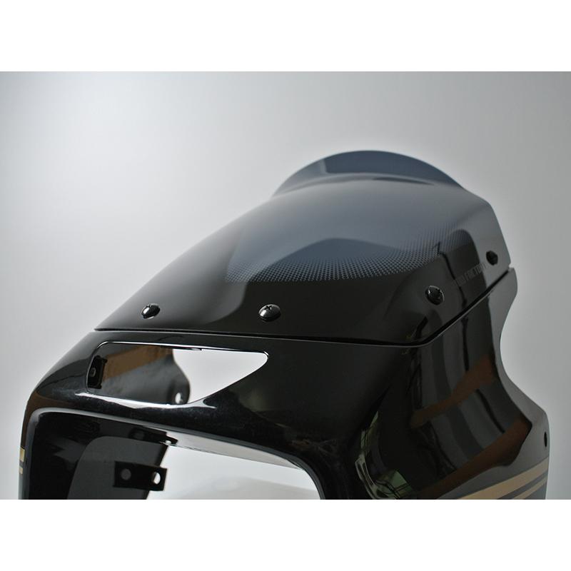 カワサキ ZRX1200R DAEG ダエグ 1100 400 後期 スクリーン ダーク