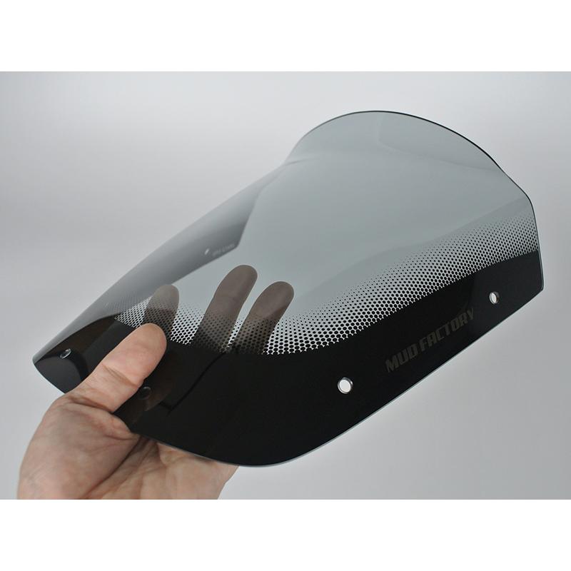 カワサキ ZRX1200R DAEG ダエグ 1100 400 後期 スクリーン ライト