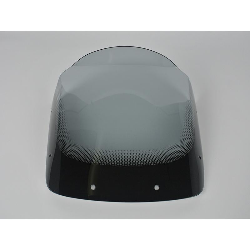 カワサキ ZRX1200R DAEG ダエグ 1100 400 後期 スクリーン ライト