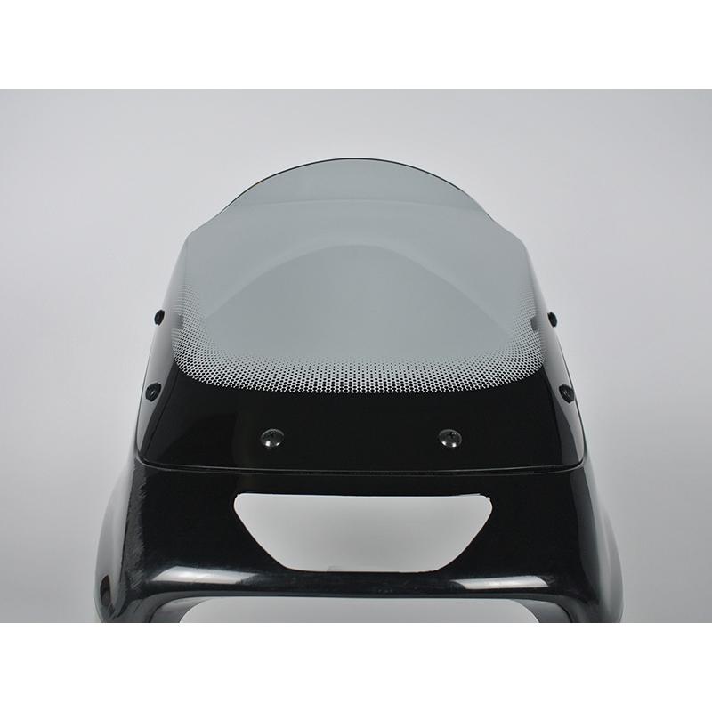 カワサキ ZRX1200R DAEG ダエグ 1100 400 後期 スクリーン ライト