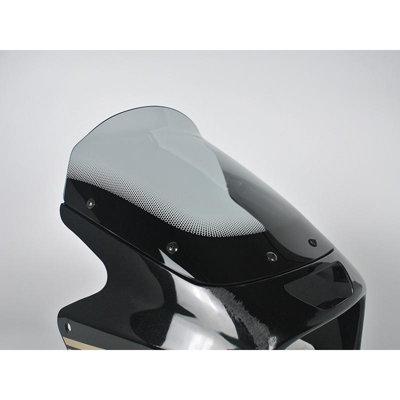 カワサキ ZRX1200R DAEG ダエグ 1100 400 後期 スクリーン ライト