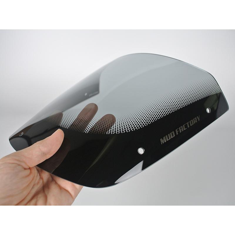 カワサキ ZRX1200R DAEG ダエグ 1100 400 後期 スクリーン ライト