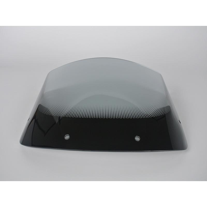 カワサキ ZRX1200R DAEG ダエグ 1100 400 後期 スクリーン ライト