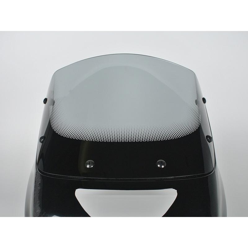 カワサキ ZRX1200R DAEG ダエグ 1100 400 後期 スクリーン ライト