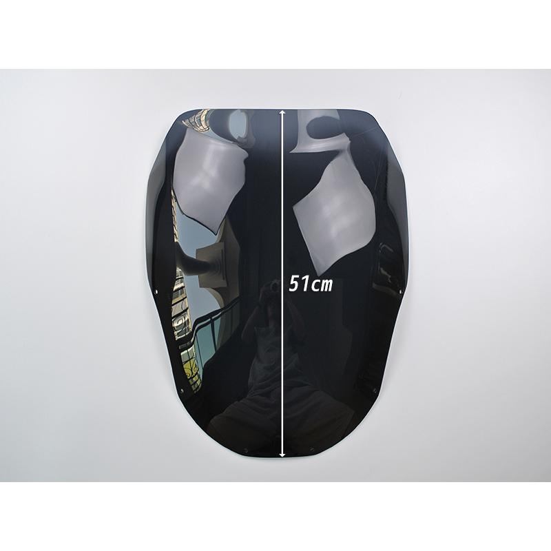 カワサキ ZZ-R1100 ZX-11 ZZR1100 D型 ニンジャ スクリーン