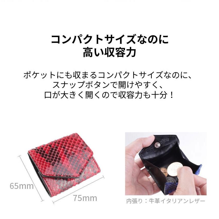 コインケース本革 / パイソンレザー・蛇革 |  | 06