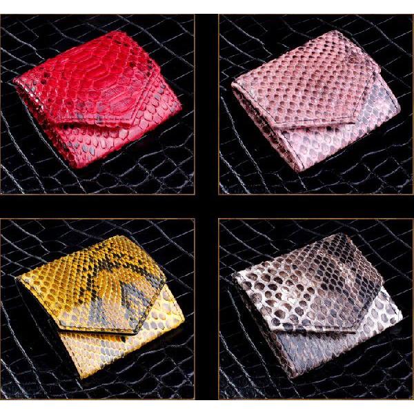 コインケース 革/パイソンレザー・シースネーク |  | 02