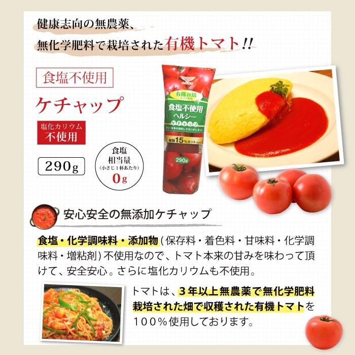 減塩 調味料セット 腎臓病 ・ 透析の方向け 腎臓病食 食品 低リン 低カリウム 低たんぱく 母の日 母の日ギフト 母の日プレゼント｜muen-genen｜11