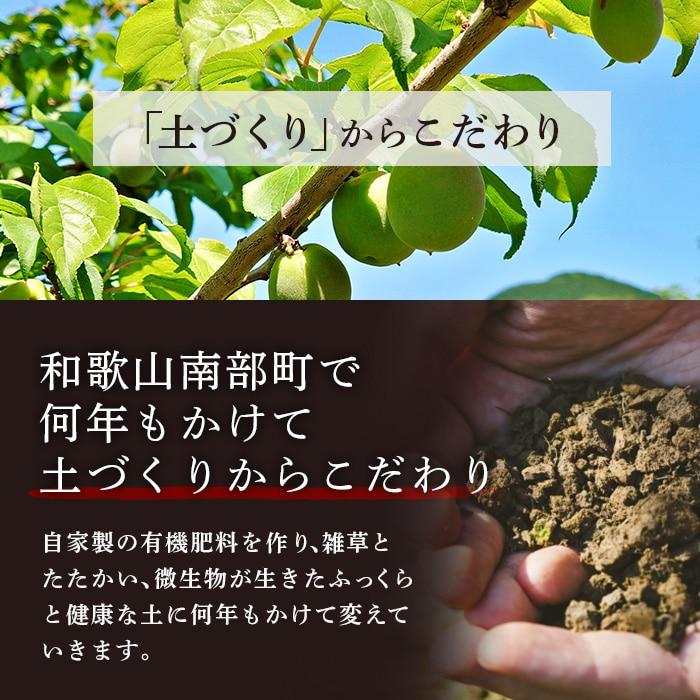 【ご贈答用 ギフト用】食塩不使用 無塩梅 ゼロ梅 酸っぱい味 化粧箱入り 減塩 梅干しではモノ足りない方に 母の日 母の日ギフト 母の日プレゼント｜muen-genen｜09