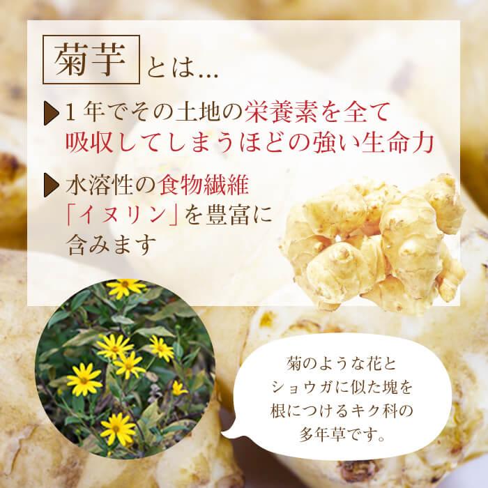 送料無料 高濃度 菊芋 イヌリン ドイツ産 ユウキ菊 使用 30包 顆粒