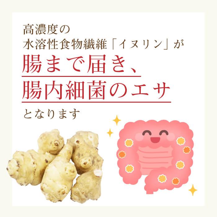 送料無料 高濃度 菊芋 イヌリン ドイツ産 ユウキ菊 使用 30包 顆粒
