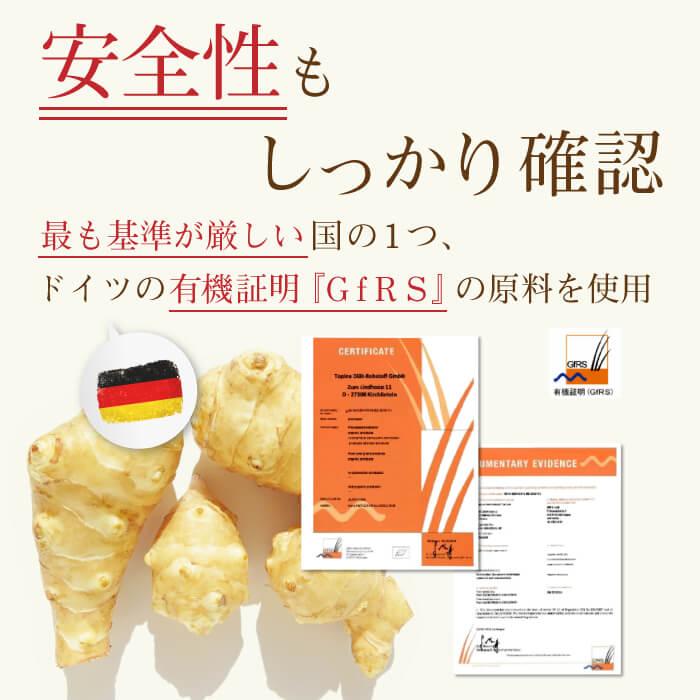 送料無料 高濃度 菊芋 イヌリン ドイツ産 ユウキ菊 使用 30包 顆粒