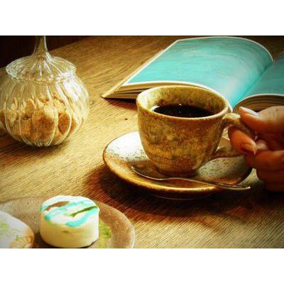 信楽焼 コーヒーカップ ソーサー 天嶺 コーヒー碗皿 セット 陶器 ペア 北欧 来客用 おしゃれ 珈琲 碗皿 買得