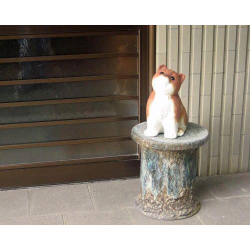 信楽焼 犬 置物 おすわり 10号 茶 いぬ 犬置物 小さい おしゃれ アンティーク かわいい 玄関 オブジェ インテリア 雑貨 陶器 ギフト 信楽焼き Ma119 03g Inu0009 夢源陶房 通販 Yahoo ショッピング