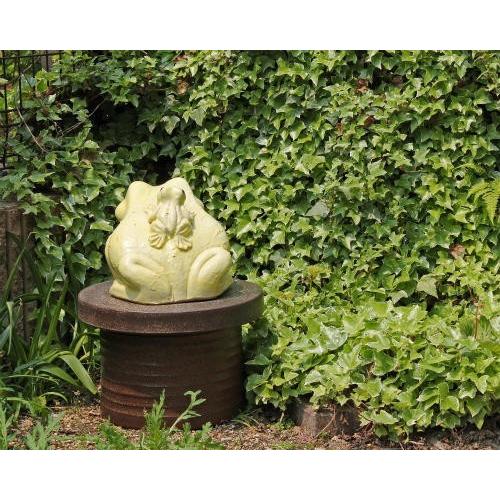 信楽焼 黄 カエル 置物 10号 (名入れ対応) 陶器 かわいい かえる