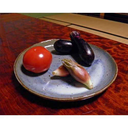食器・キッチン用品 信楽焼 信楽焼き 火色 中皿 5枚セット 和食器 盛