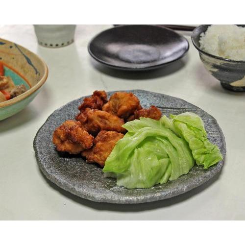 信楽焼 和食器 黒 銀彩 中皿 在庫数限り おしゃれ 食器 お皿 和皿 盛り 