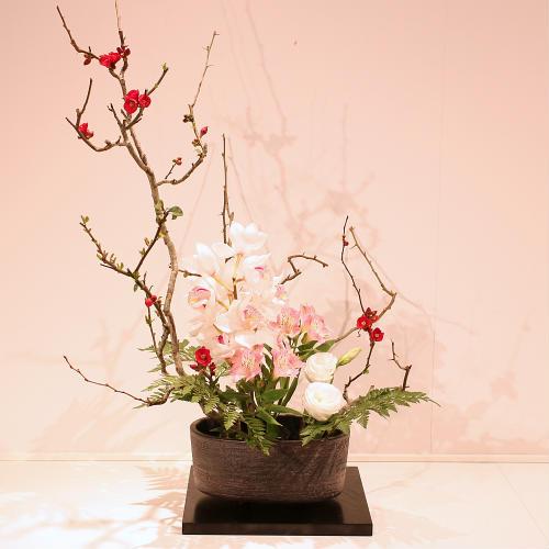 信楽焼 花器 黒 櫛目 コンポート 在庫数限り 陶器 花瓶 生け花 信楽焼 花器 黒 櫛目 コンポート 在庫数限り 陶器 花瓶 生け花