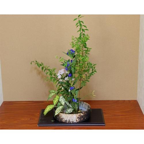 信楽焼 水盤 花器 8号 白 窯変 切立 丸 陶器 池坊 嵯峨御流 生け花