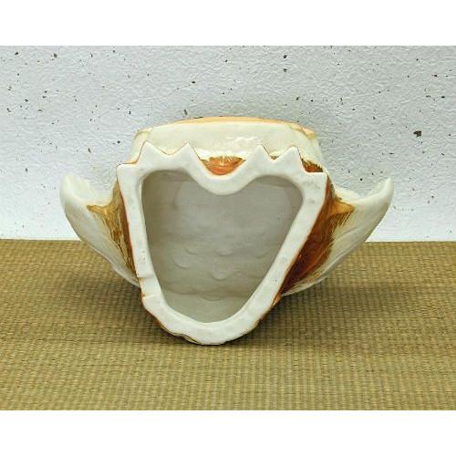 ポイント5倍][名入れ]信楽焼 表札 羽 フクロウ 照明 置物 8号(4色展開