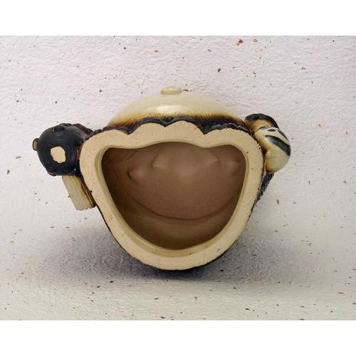 信楽焼 狸 置物 赤兜 たぬきの置物 8号 (名入れも可) 玄関 狸置物 かわいい ミニチュア タヌキ おしゃれ  開店 節句 祝い 信楽焼き(MB090-06G)