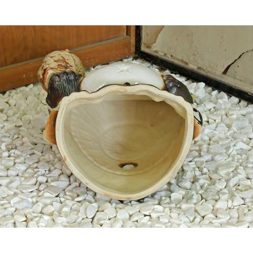 信楽焼 狸 置物 古代ふくろう持ち たぬきの置物 9号 (名入れも可) 玄関 狸置物 かわいい ミニチュア タヌキ おしゃれ  開店 祝い 信楽焼き(MB090-02G)