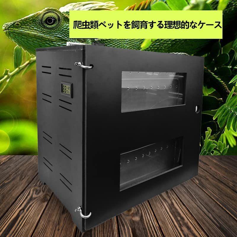 高さのある爬虫類飼育専用ケージ イグアナ、モニター、ヤモリなど