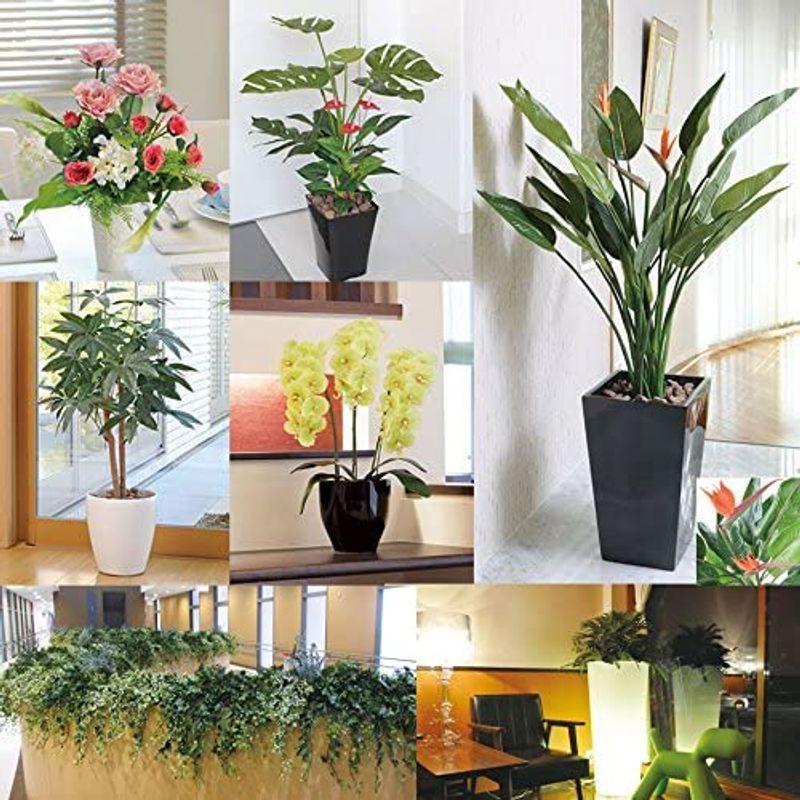 【公式】 光触媒 人工観葉植物 光の楽園 白樺シングル1.8m 421A300 【7333163482】(26255円)