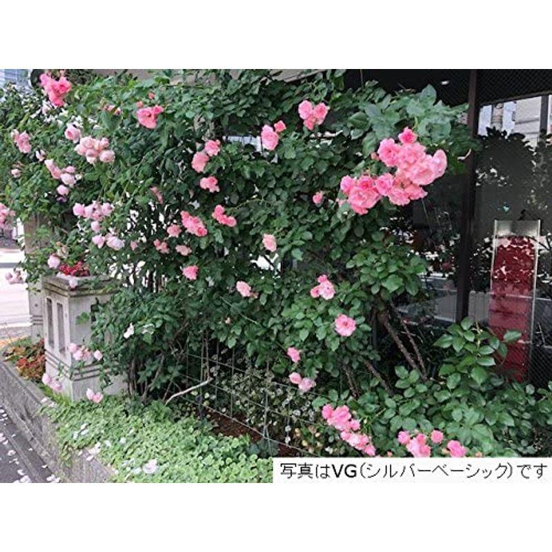 【値下げ⭕️】 近江屋ロープ つるバラフェンス「カラマリーナVG-G」 【ZYX6323748786】(22641円)