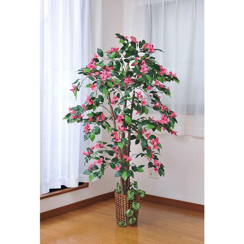 動作確認 観葉植物 ブーゲンビリア 高さ：約167cm 天然木使用 【1892452386】(10559円)