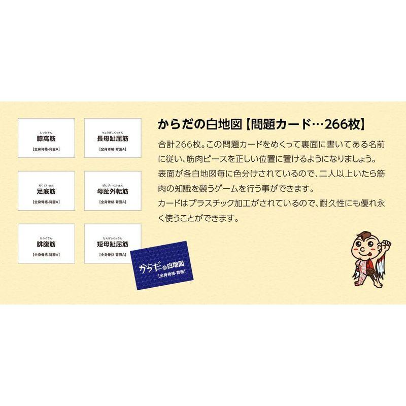 筋肉をイメージでおぼえられ効率的に勉強できる からだの白地図筋肉編 からだの白地図筋肉編 　