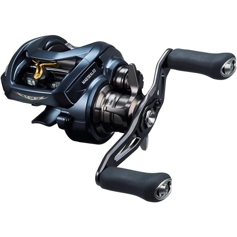ダイワ(DAIWA) ベイトリール STEEZ(スティーズ) AII TW 1000HL 2022年 