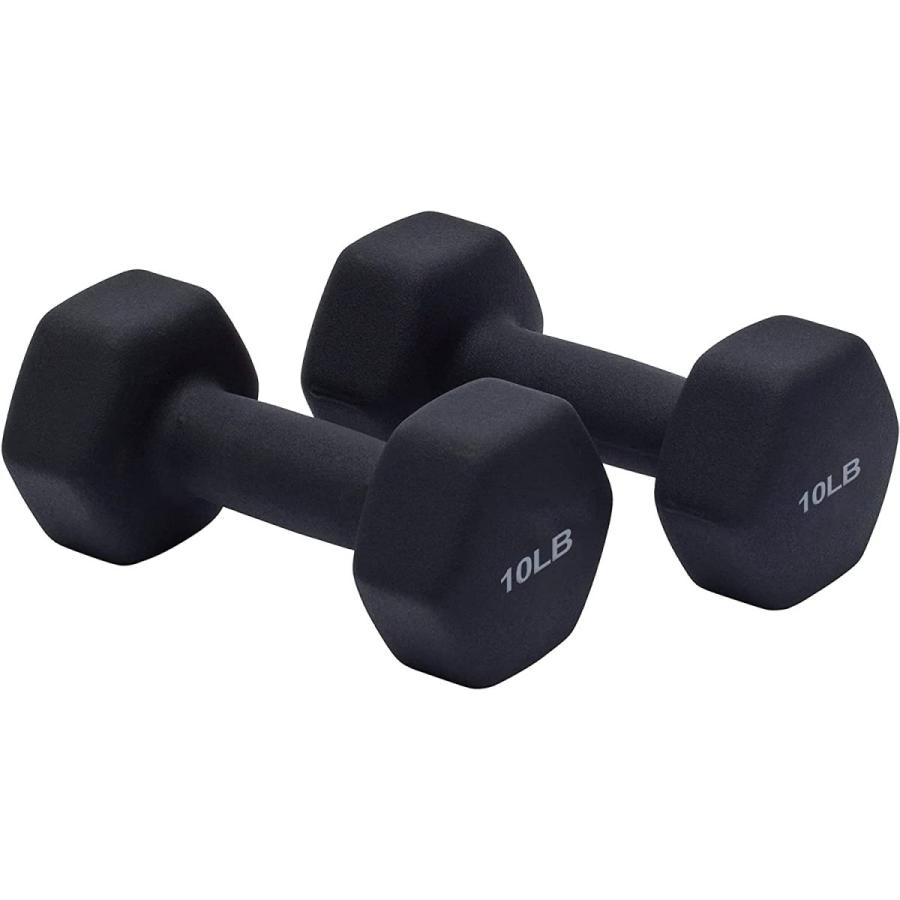 Menciroダンベル 2個セット ダンベルセット10lb 4 5kg X2 六角形ダンベル 鉄アレイ 握りやすい 無臭素材 筋トレ ダイエット 22