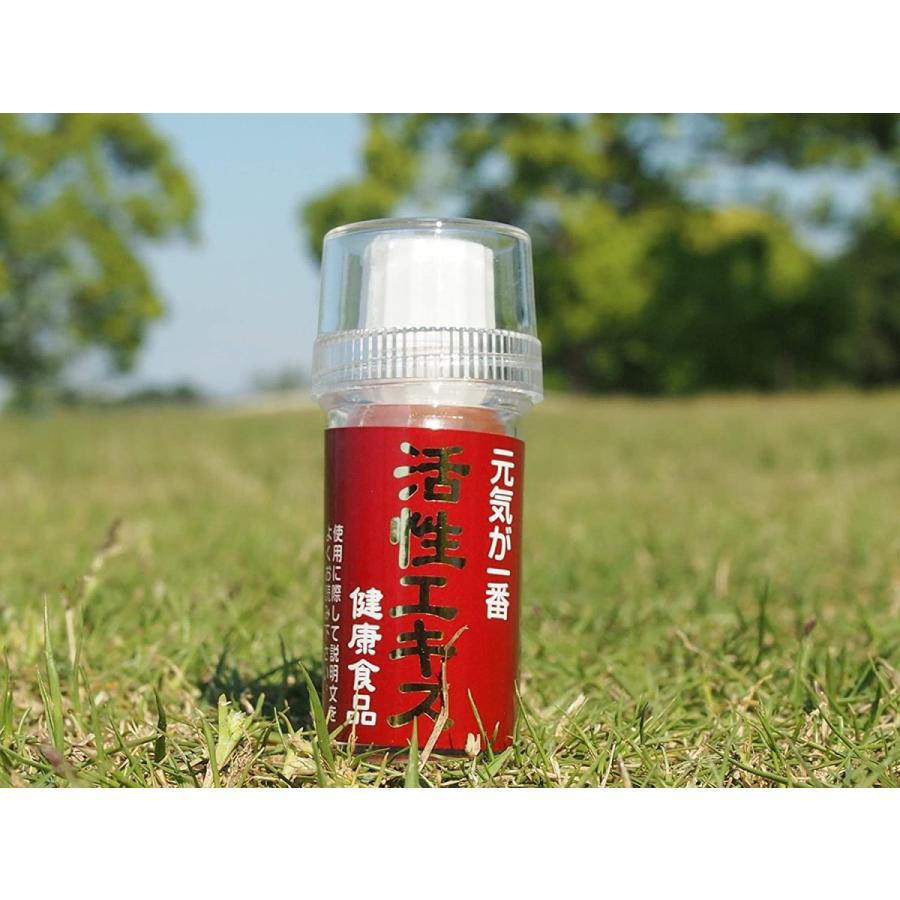 活性エキス バクチャー 微生物 水 にんにく サプリ ニンニク ミネラル Rbc Lemasdeclem Fr