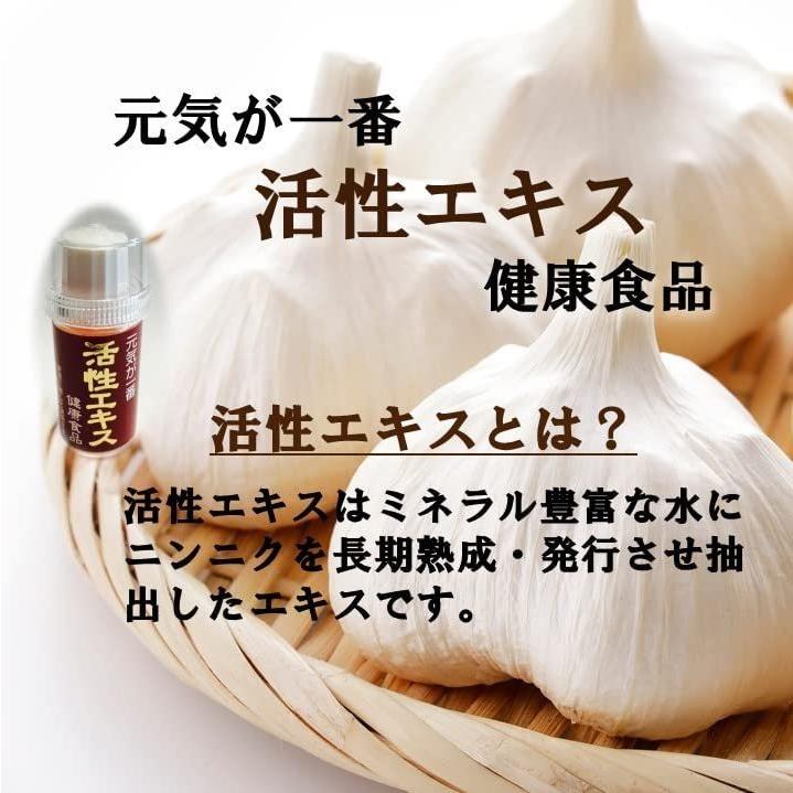 活性エキス バクチャー 微生物 水 にんにく サプリ ニンニク ミネラル Rbc Bhinternalmedicine Com