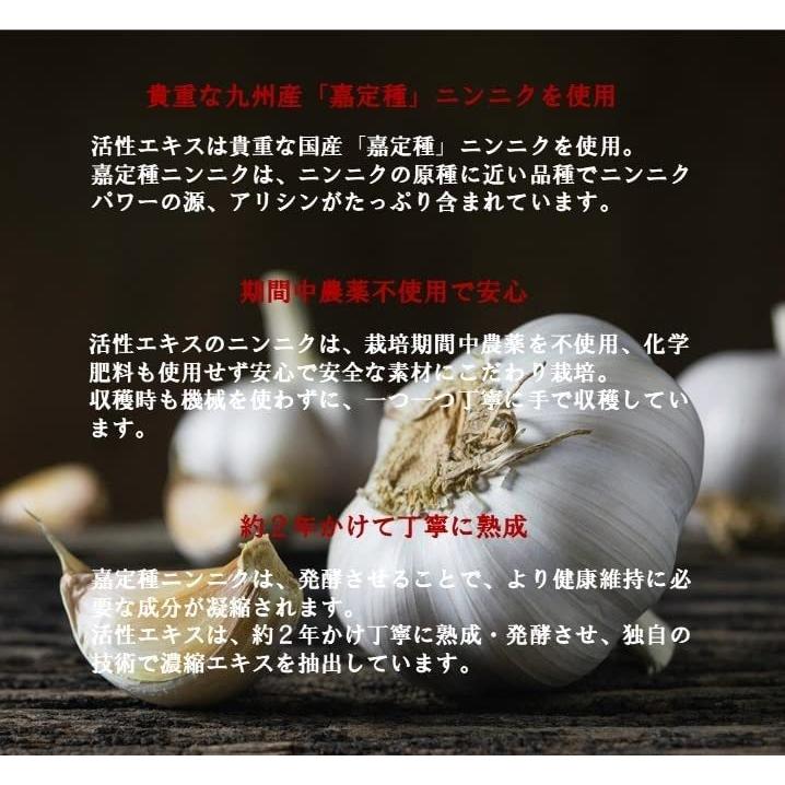 活性エキス バクチャー 微生物 水 にんにく サプリ ニンニク ミネラル Rbc Bhinternalmedicine Com