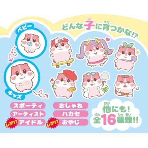 【国産】 もっちまるず もっちりペット もっちまるず ベリー 92×95×55 【X1750451940】(9771円)