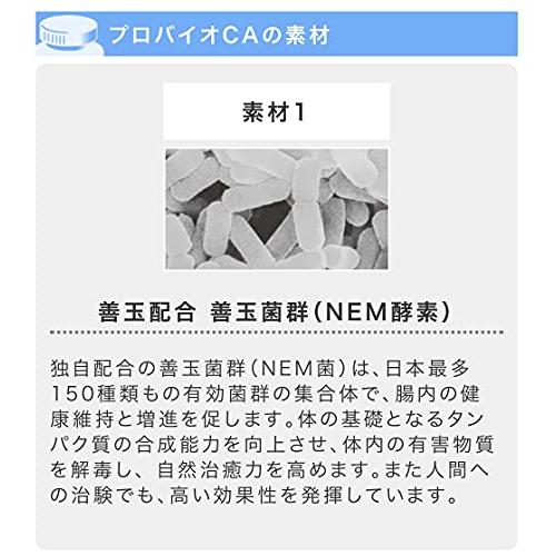 犬のアトピー、アレルギー、内臓ケアに【プロバイオCAプラス】粉末100g (約50日分:小・中型犬) 