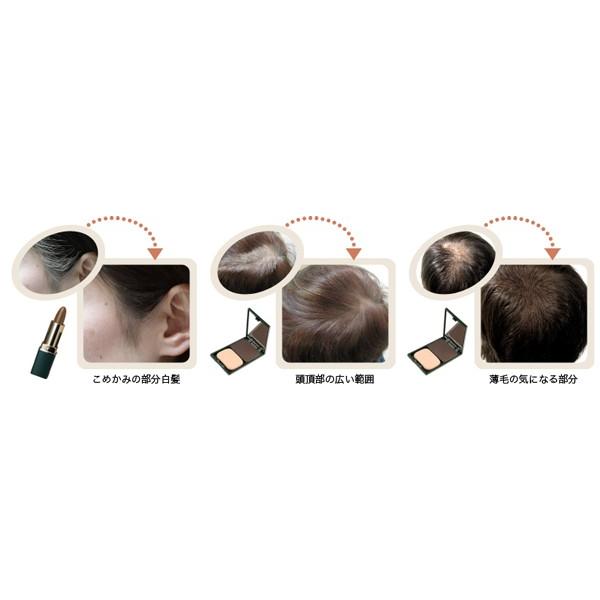 グリーンノート 白髪染め 無添加 ヘアカラーファンデーション レフィル 詰替え用 各12g オーガニック 送料無料 正規品 白髪・薄毛隠し 天然 ノンケミカル :4539537005050-y:オーガニック健康生活 むぎごころ - 通販 - Yahoo!ショッピング グリーンノート 白髪染め 無添加 ヘアカラーファンデーション レフィル 詰替え用 各12g オーガニック 送料無料 正規品 白髪・薄毛隠し 天然 ノンケミカル :4539537005050-y:オーガニック健康生活 むぎごころ - 通販 - Yahoo!ショッピング
