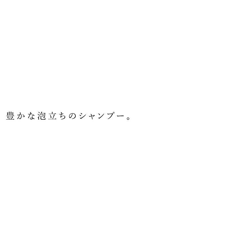 シャンプー 無添加 ルアモ ベーシック シャンプー 250ml 購入金額別特典あり オーガニック ナチュラル ノンケミカル 自然 ヘアケア 天然｜mugigokoro-y｜02