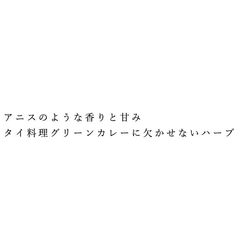 有機種子 グリーンフィールドプロジェクト バジル／タイバジル／ホーラーパー 0.4g 購入金額別特典あり 正規品 オーガニック 化学農薬なし 化学肥料なし 遺伝…｜mugigokoro-y｜02