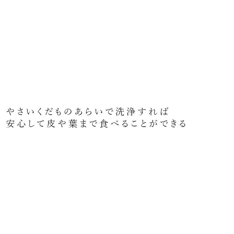 食品用洗剤 しぜんのめぐみすい 生鮮食品洗い しぜんのめぐみすいプチGIFT SET G やさいくだものあらい 200ml×3本セット 購入金額別特典あり 無添加 正規品 …｜mugigokoro-y｜02