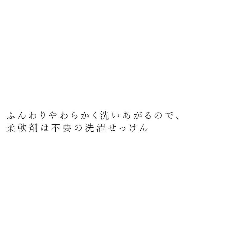 洗濯用洗剤 シャボン玉石けん EM液体洗濯せっけん詰替1000ml 購入金額別特典あり 正規品 無添加 洗濯石けん 液体タイプ ナチュラル EM使用 香料・着色料・酸化…｜mugigokoro-y｜02