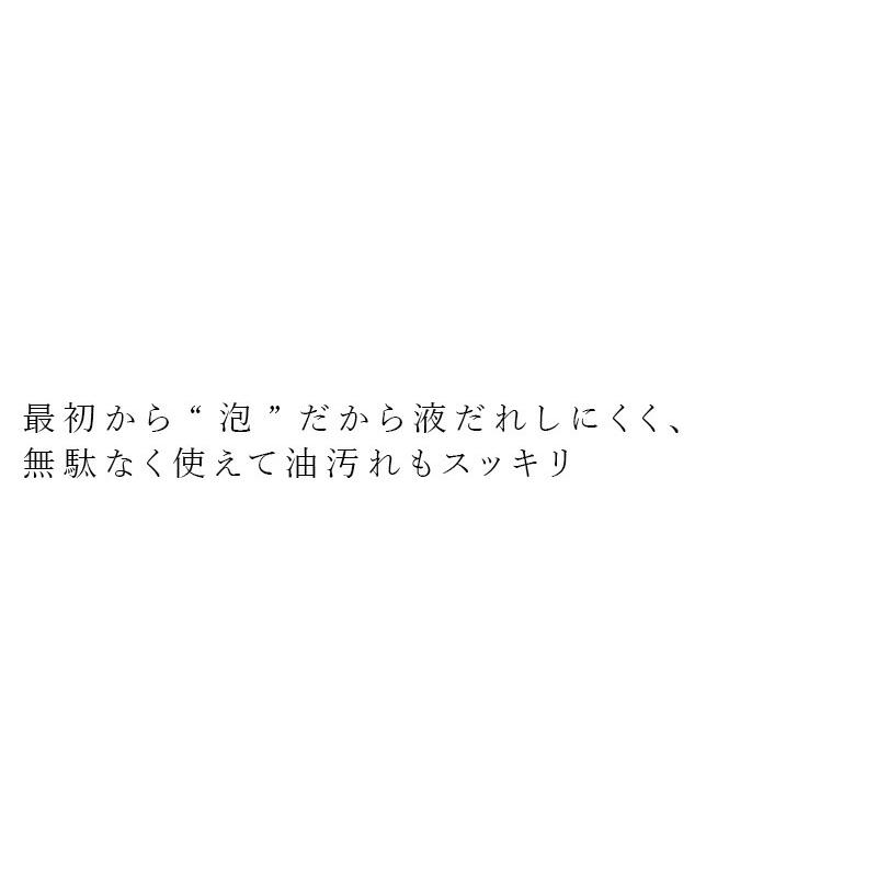 食器・野菜洗い用洗剤 シャボン玉石けん 台所用せっけん泡タイプ詰替用 275ml 購入金額別特典あり 正規品 無添加 泡体タイプ ナチュラル 香料・着色料・酸化防…｜mugigokoro-y｜02